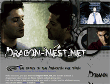 Tablet Screenshot of dragon-nest.net